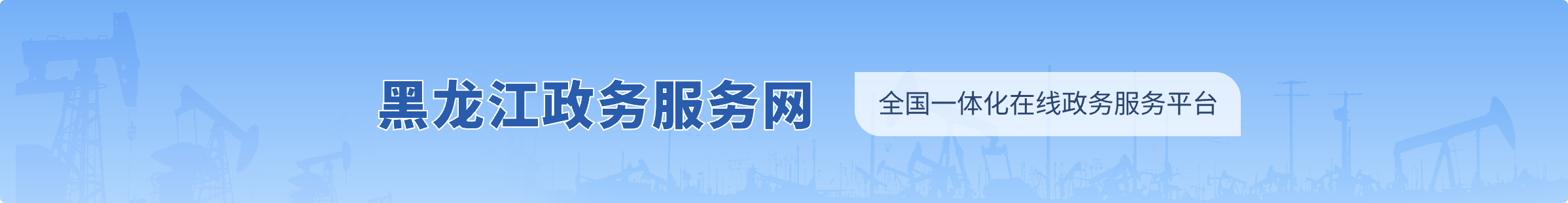 大慶市政務服務網